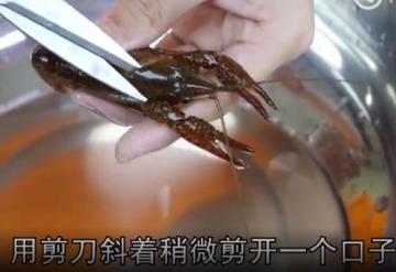 龙虾怎么洗简单又干净方法和窍门图解7