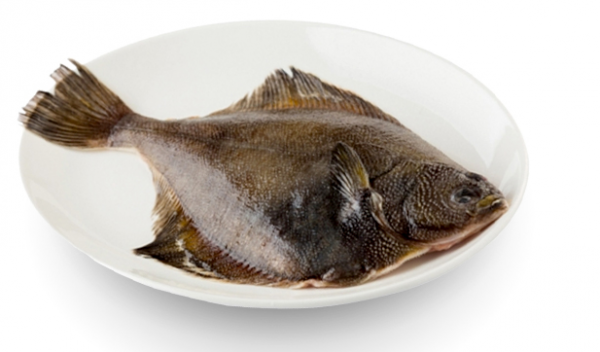 鲽鱼是什么鱼-鲽鱼怎么做好吃又简单？1