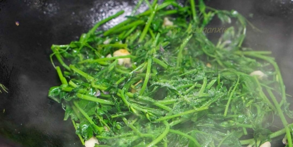豌豆尖怎么做-豌豆尖的做法13
