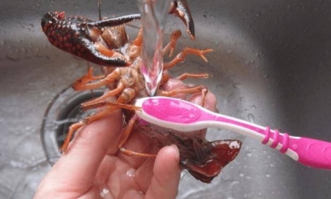 小龙虾怎么清洗最快-小龙虾最简单的清洗方法3