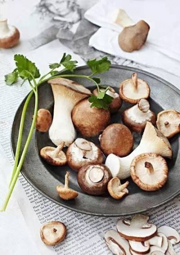 蘑菇怎么炒好吃-蘑菇的做法大全家常菜1